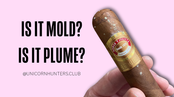 Cigar Mold vs Plume: How to Tell the Difference and What to Do