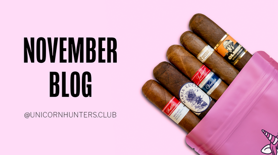 Unicorn Hunters Club : November Blog!